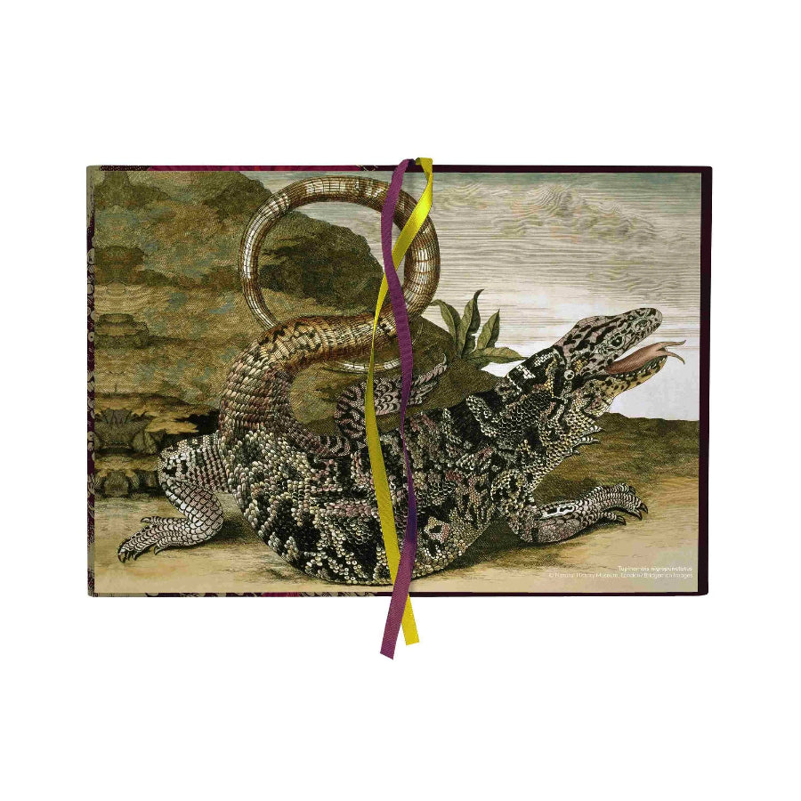 A rectangular art print or book cover featuring a detailed vintage-style illustration of a monitor lizard over a landscape, tied with two ribbons in purple and yellow, on a plain white background.