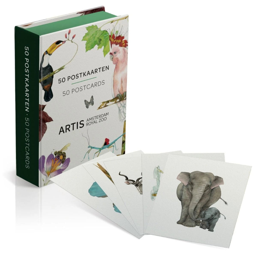 Box containing 50 beautiful animal postcards featuring illustrations by Annemieke Bunjes for ARTIS Amsterdam. Perfect for collectors and nature lovers.