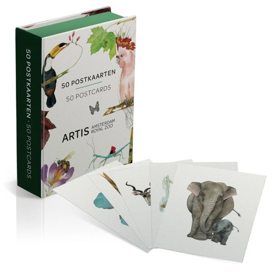 Box containing 50 beautiful animal postcards featuring illustrations by Annemieke Bunjes for ARTIS Amsterdam. Perfect for collectors and nature lovers.