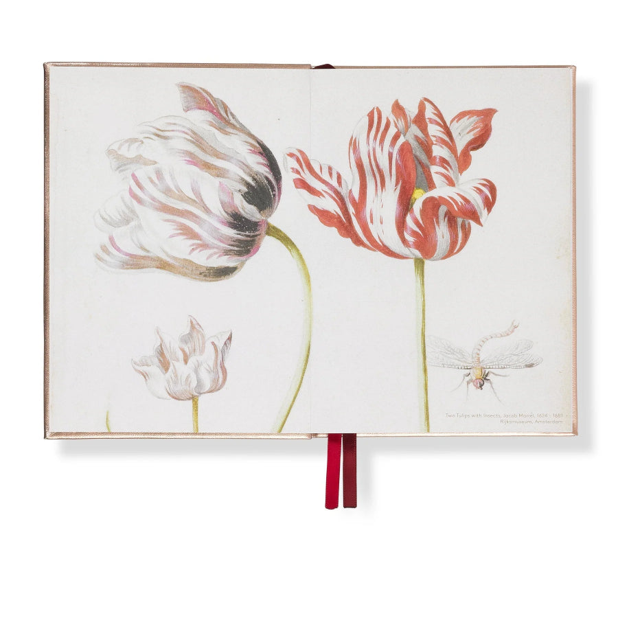 An open vintage-style botanical art book or journal with two large tulip illustrations on the pages, a small third tulip at lower left, a small insect sketch at lower right, and a red ribbon bookmark hanging from the center.