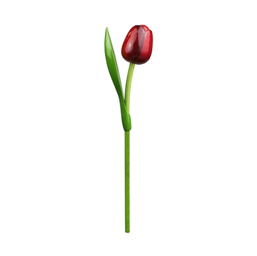 Red tulip flower with green stem on a white background