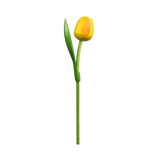 Yellow tulip on a white background