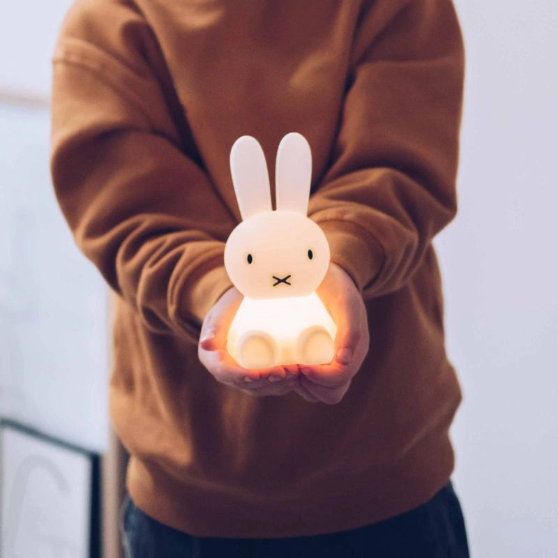 Person holding a rabbit-shaped night light in their hands